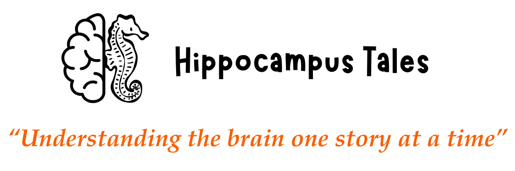Hippocampus Tales
