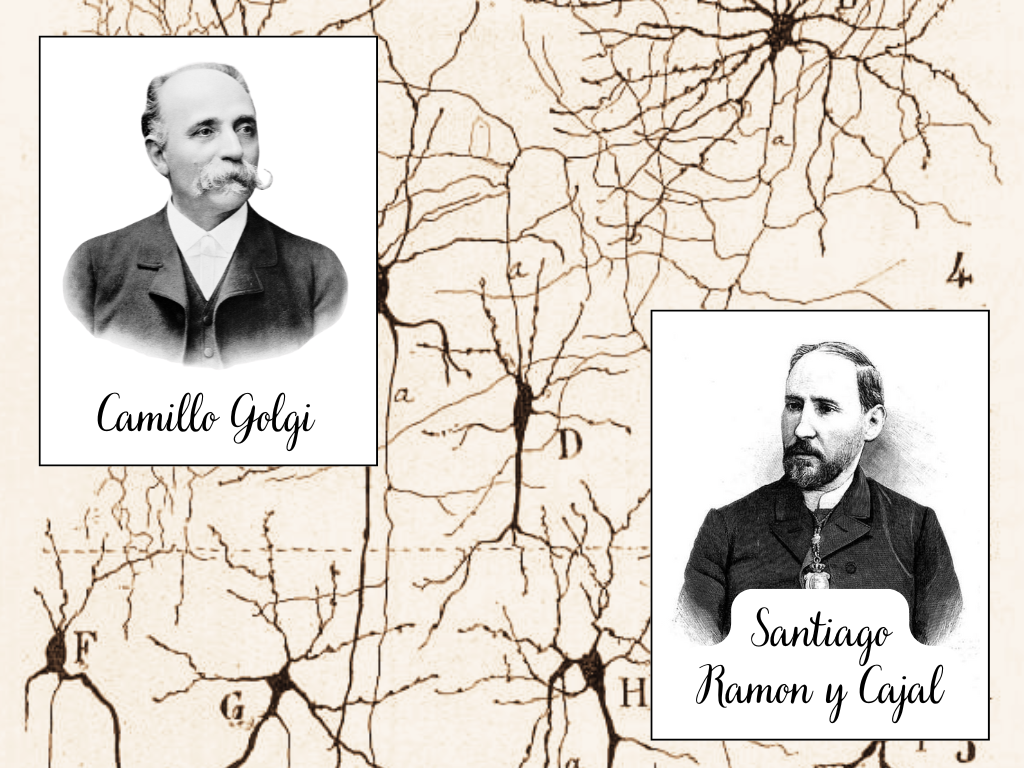 The discovery of Neurons: Camillo Golgi, Santiago Ramon y Cajal and the Birth of Neurobiology